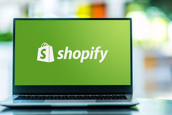 shopify website development.jpg