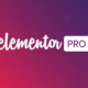elementor pro